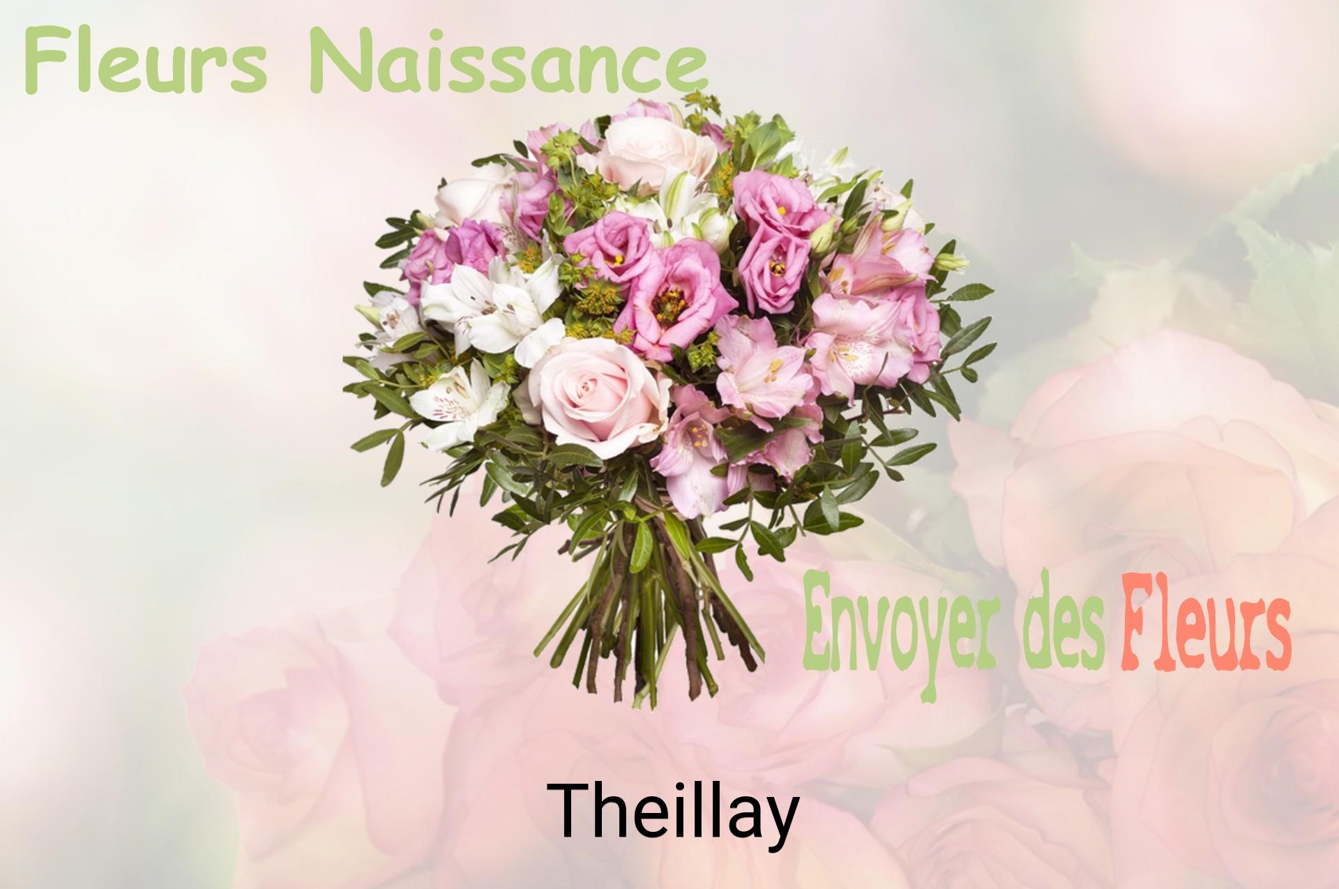 Bouquet de fleurs de naissance livré à Theillay